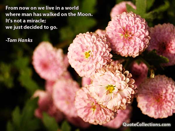 Tom Hanks Quotes5